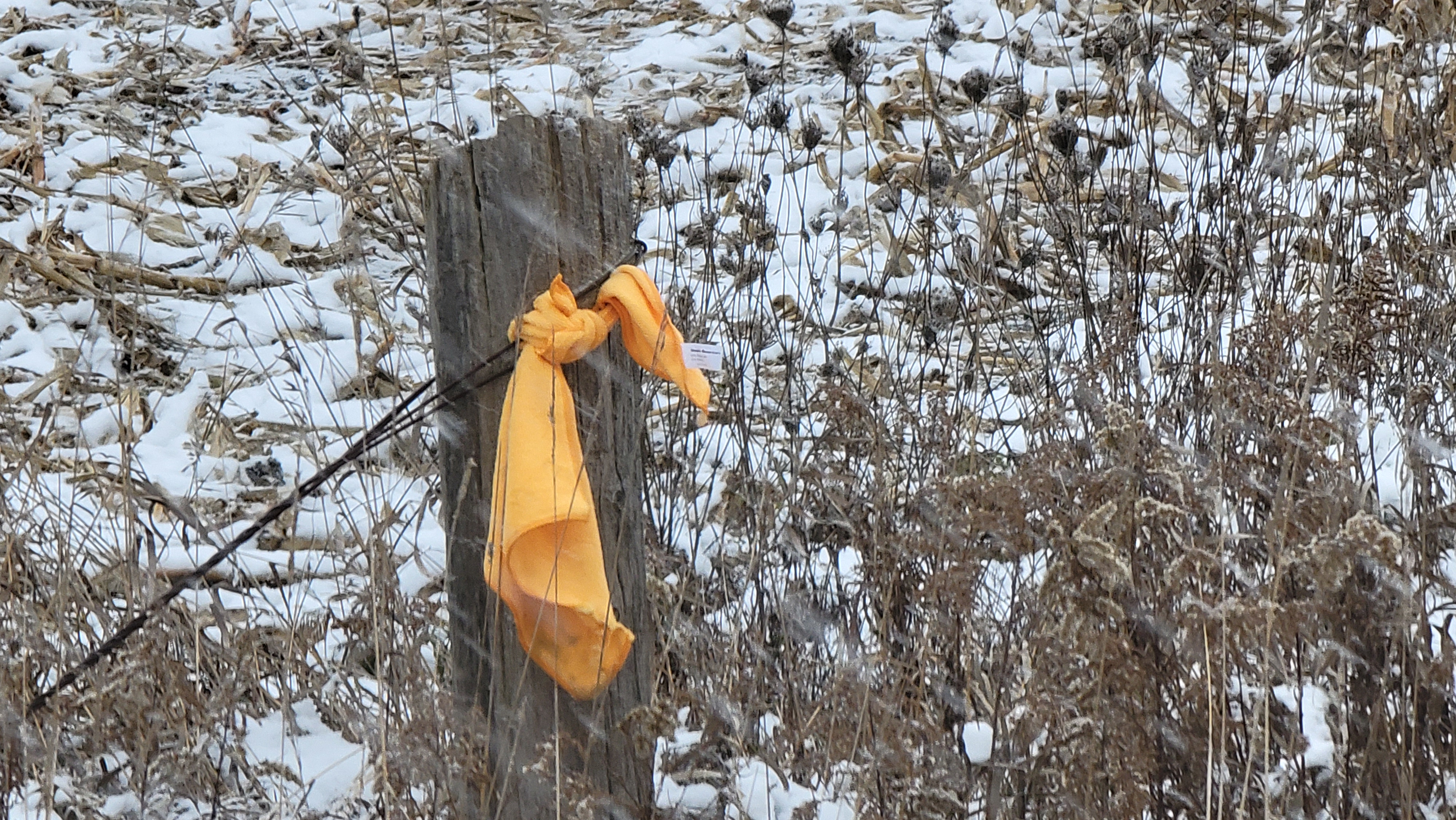 Vacant Land for Place of Worship preview 7